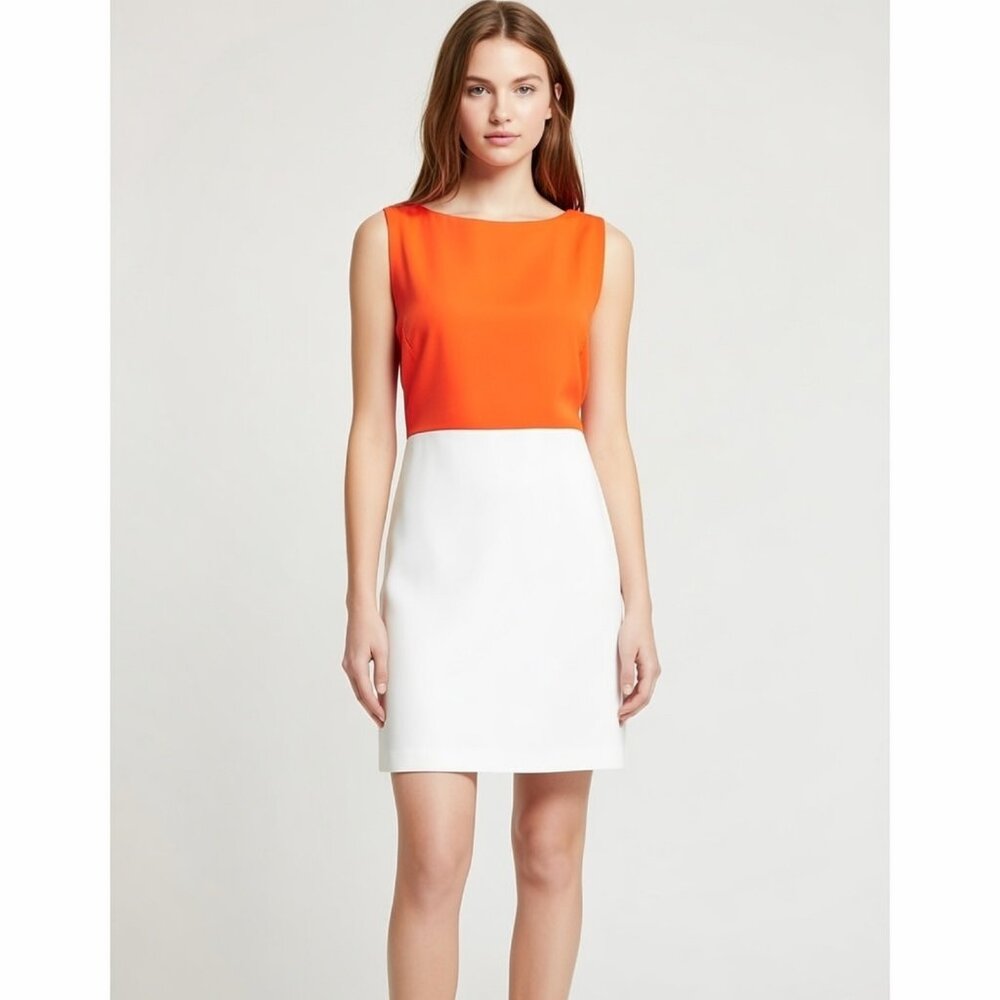 Zara Basic 60s Mod Style Color Block Shift Dress … - image 2